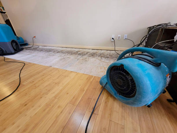 Professional Flood Damage Cleanup technician working in Livingston, TX